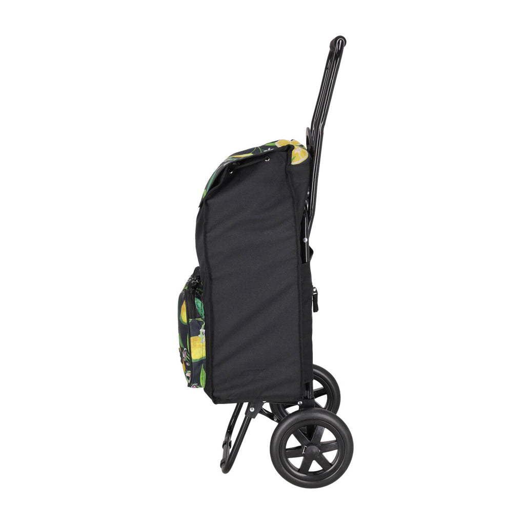 Daily Shopping Trolley 1