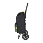 Daily Shopping Trolley 1