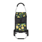 Daily shopping trolley 3