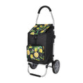 Daily shopping trolley 3