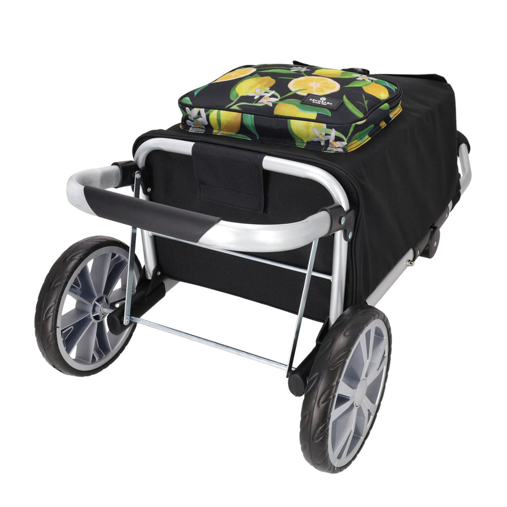 Daily shopping trolley 3