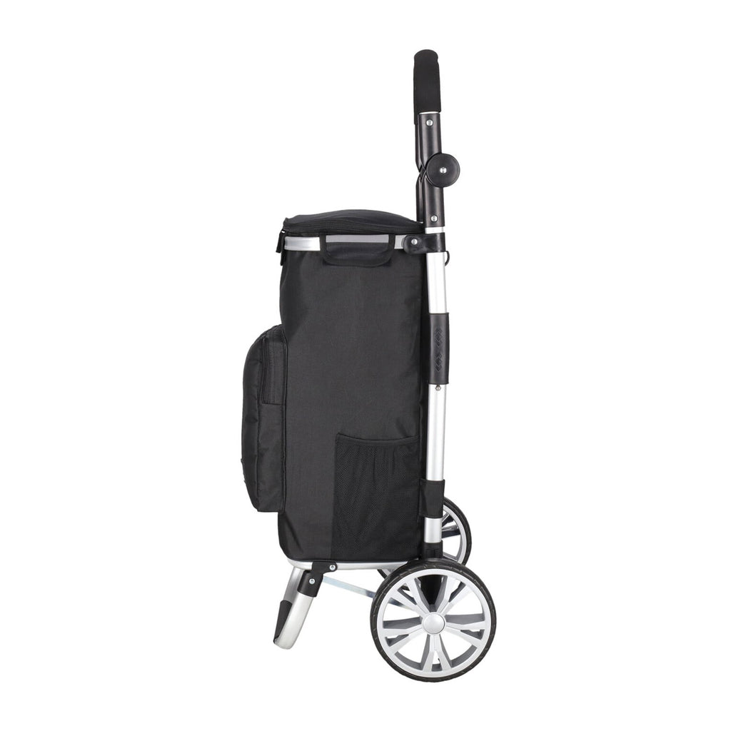 Daily Shopping Trolley 4