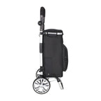Daily Shopping Trolley 4