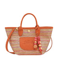 Le Panier Pliage Rainbow crossbody XS