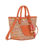 Le Panier Pliage Rainbow crossbody XS