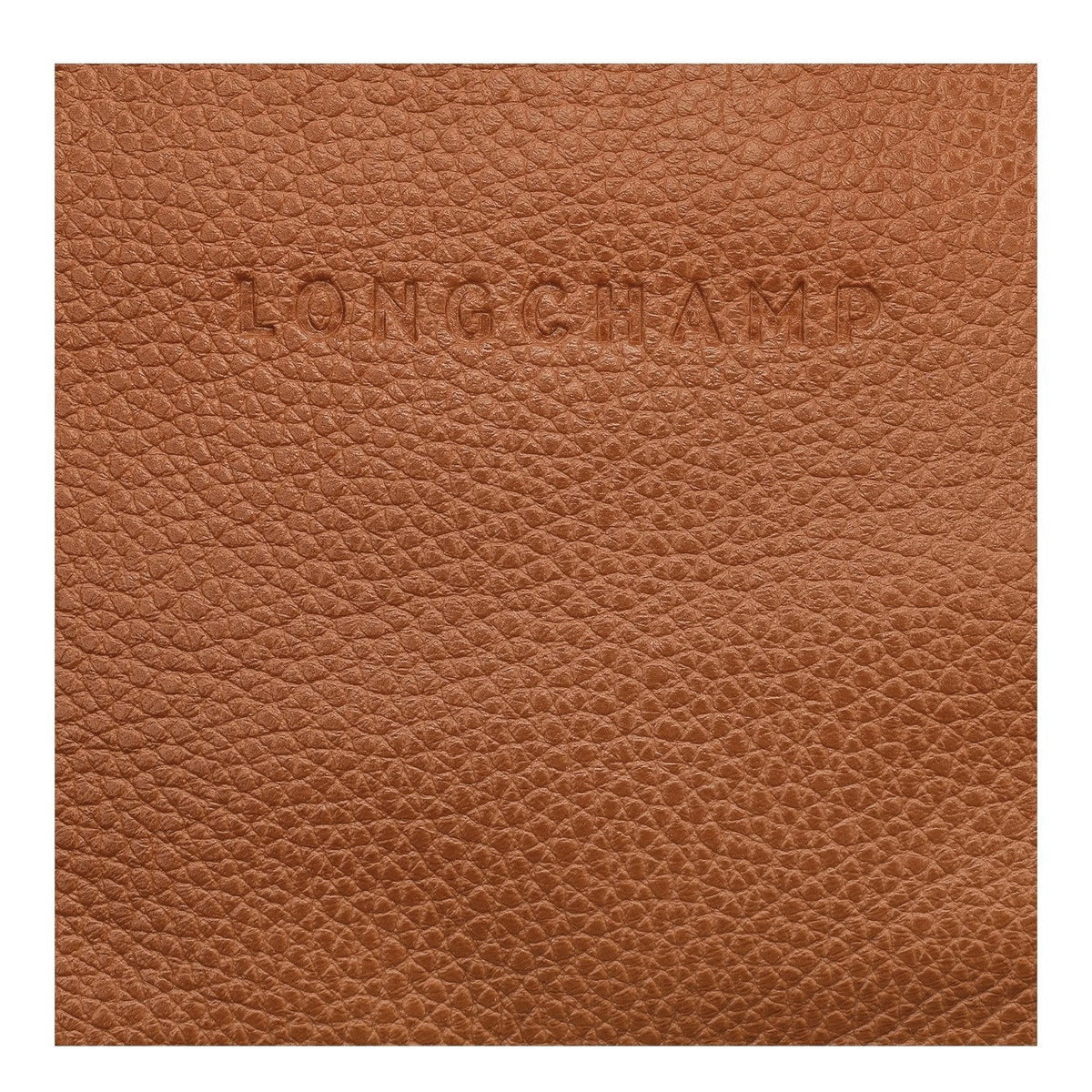 Close-up of tan grained leather texture with embossed Longchamp logo from Lieblingstasche Le Foulonné belt bag