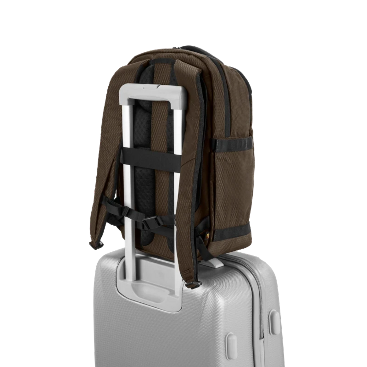 Lieblingstasche eoto Midi20 brown backpack attached to a silver suitcase handle, showing padded back and straps.