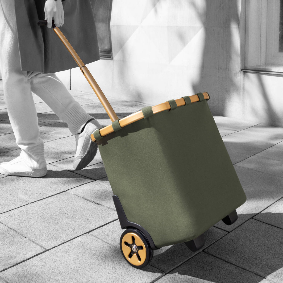 carrycruiser
