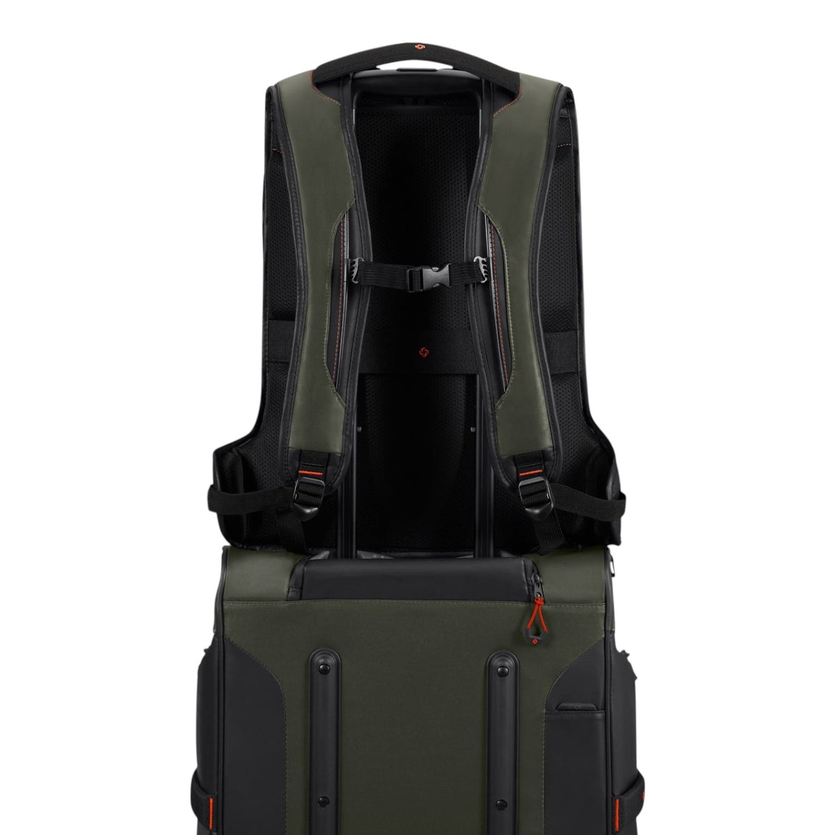 Prodiver Laptop Backpack L