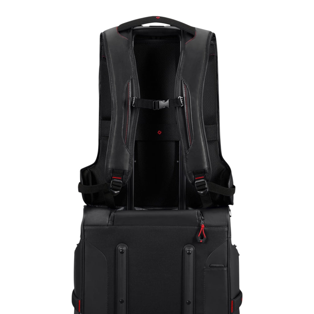 Prodiver Laptop Backpack L