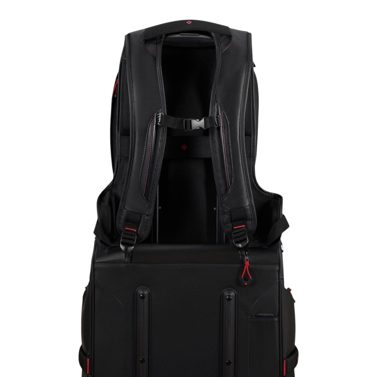Prodiver Laptop Backpack M